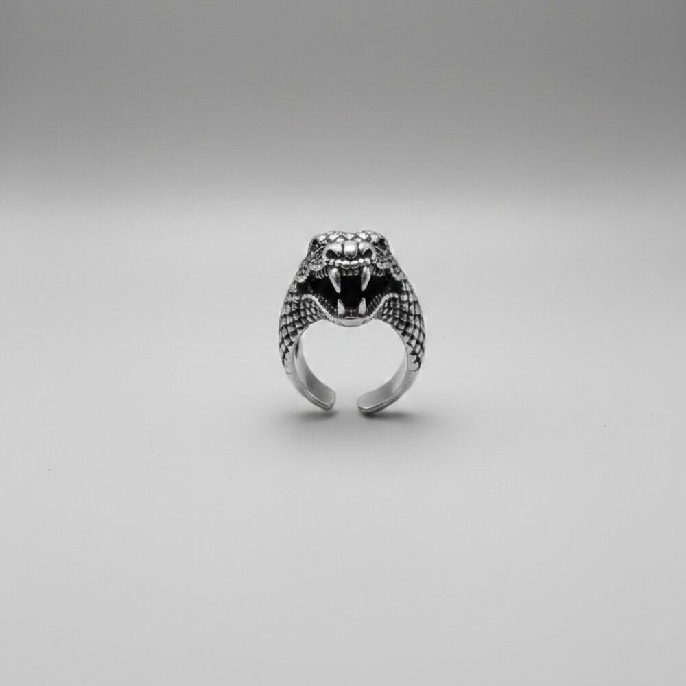 Antique Silver Animal Ring: Adjustable Lion Head Jewellery, Boho Chic Ring - Picture 5 of 7